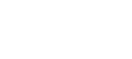 Ronin